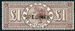 1884 £1 brown-lilac wmk 3 crowns Specimen type 11. S. G. 185