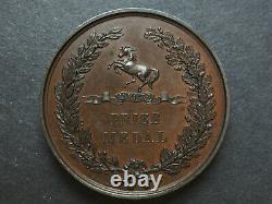 Grande-bretagne Grand Prix Médaille Exposition Industrielle Sud-est 1865